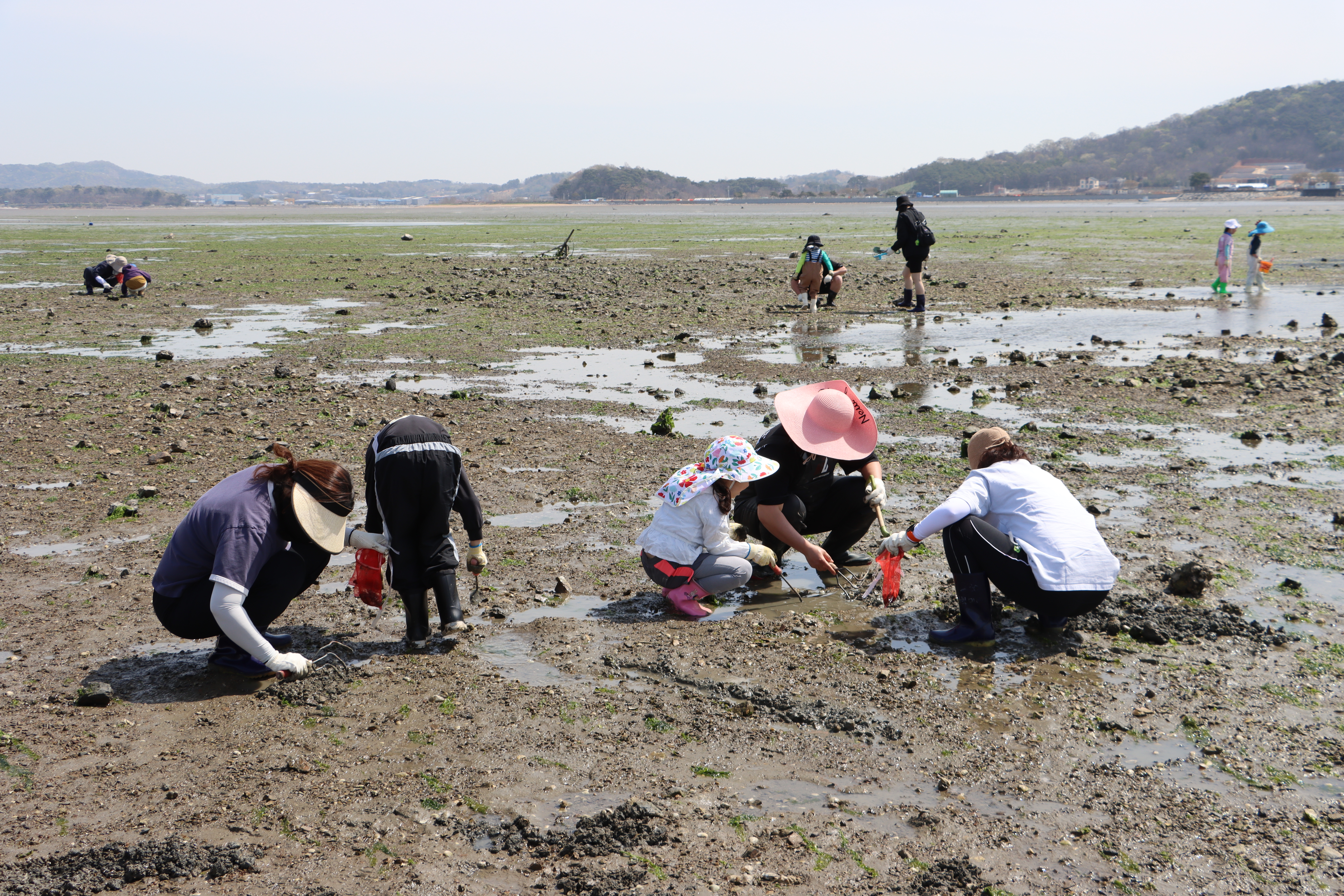 (재)화성푸드통합지원센터, 2026년 도농상생 프로젝트 『로컬푸드 캠프』 2차 운영 서해 갯벌·어촌 체험 통해 지역 수산물 가치 확산 및 도농상생 교류 강화(2026.4.16.) 이미지 1번