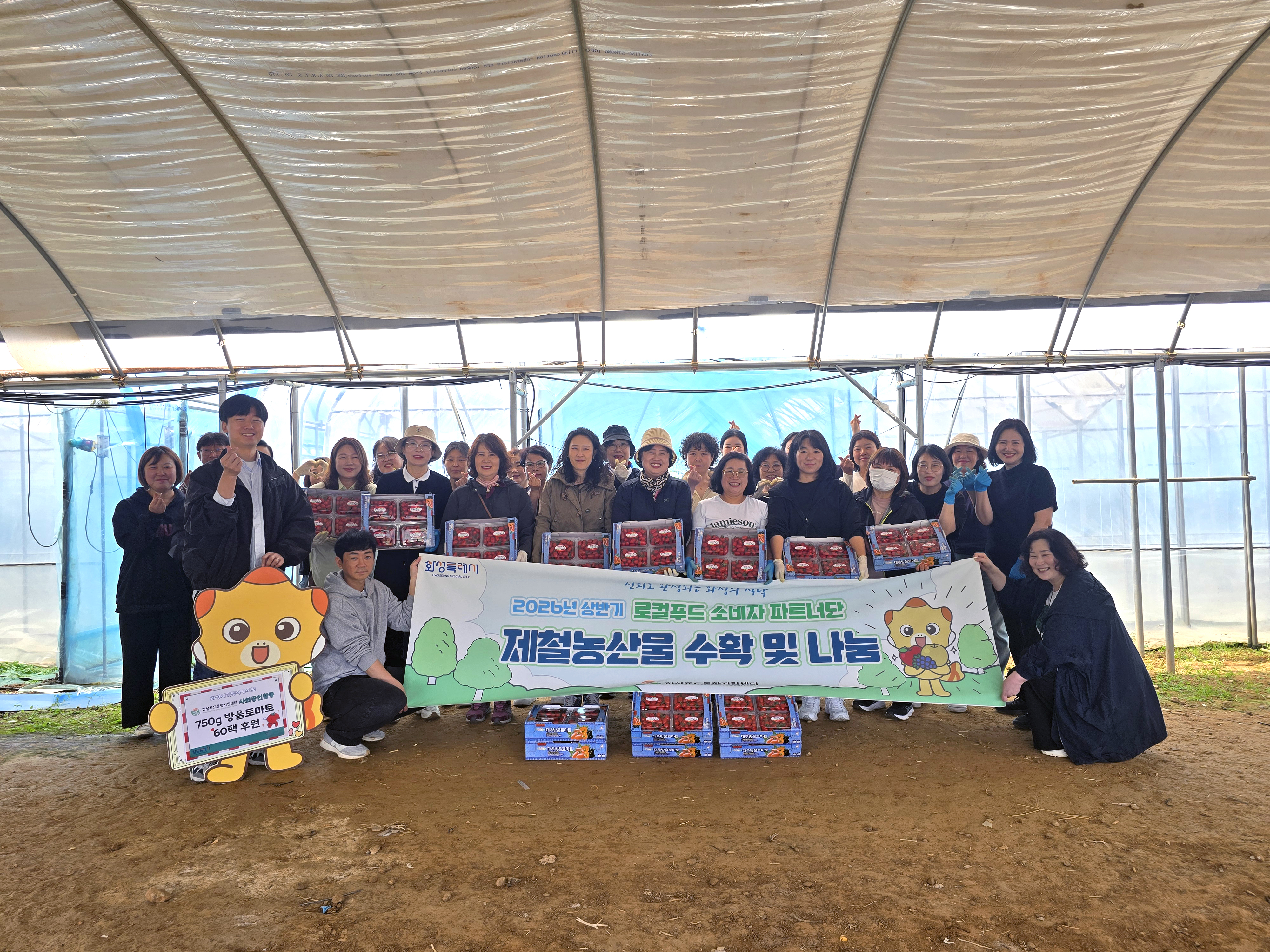 로컬푸드 소비자 파트너단, 제철 토마토 수확 및 온정의 기부 활동 펼쳐 이미지 0번