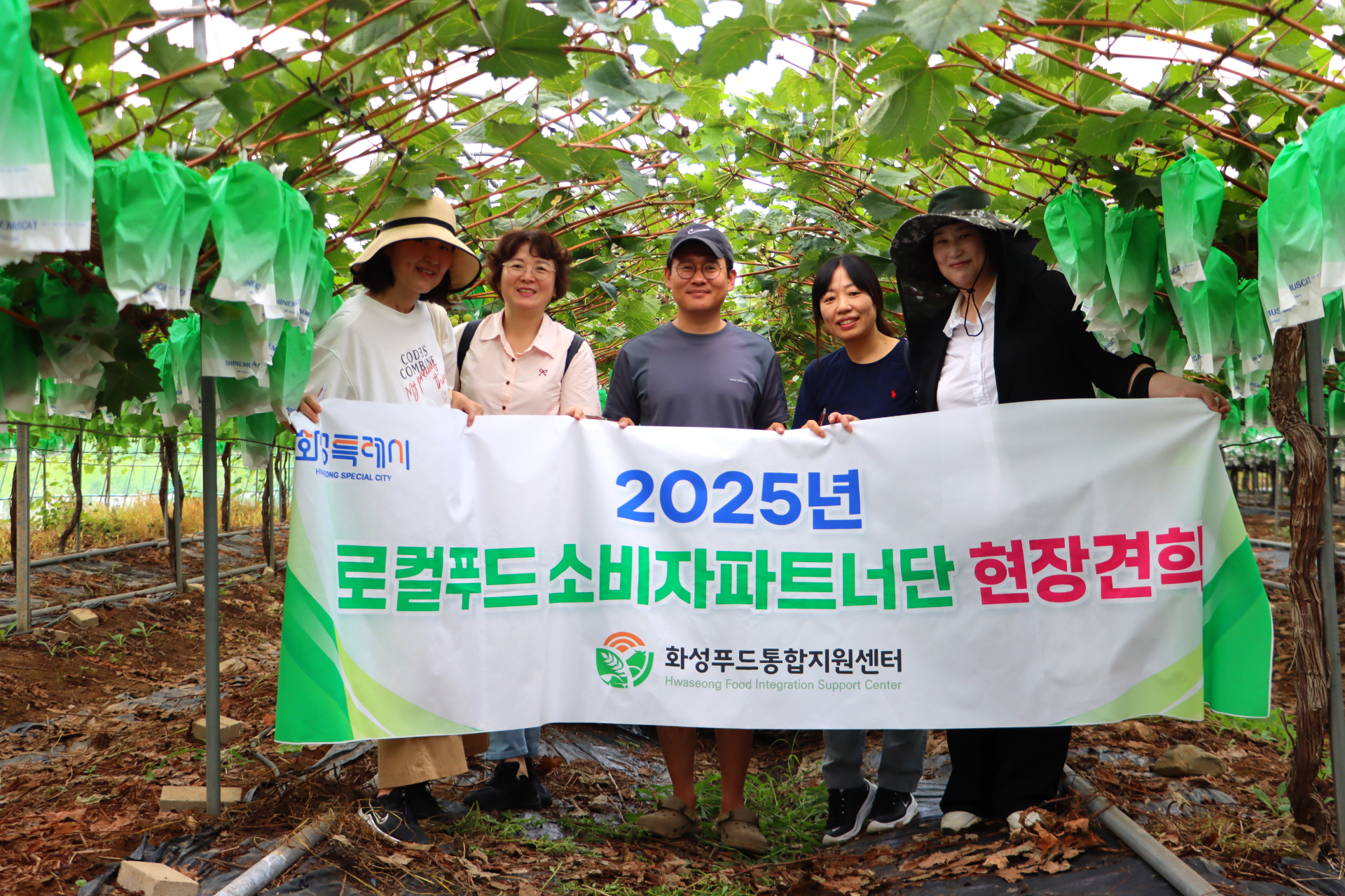 소비자파트너단 제안사업 - 샤인머스켓 농가와의 소통(2025.08.20.)