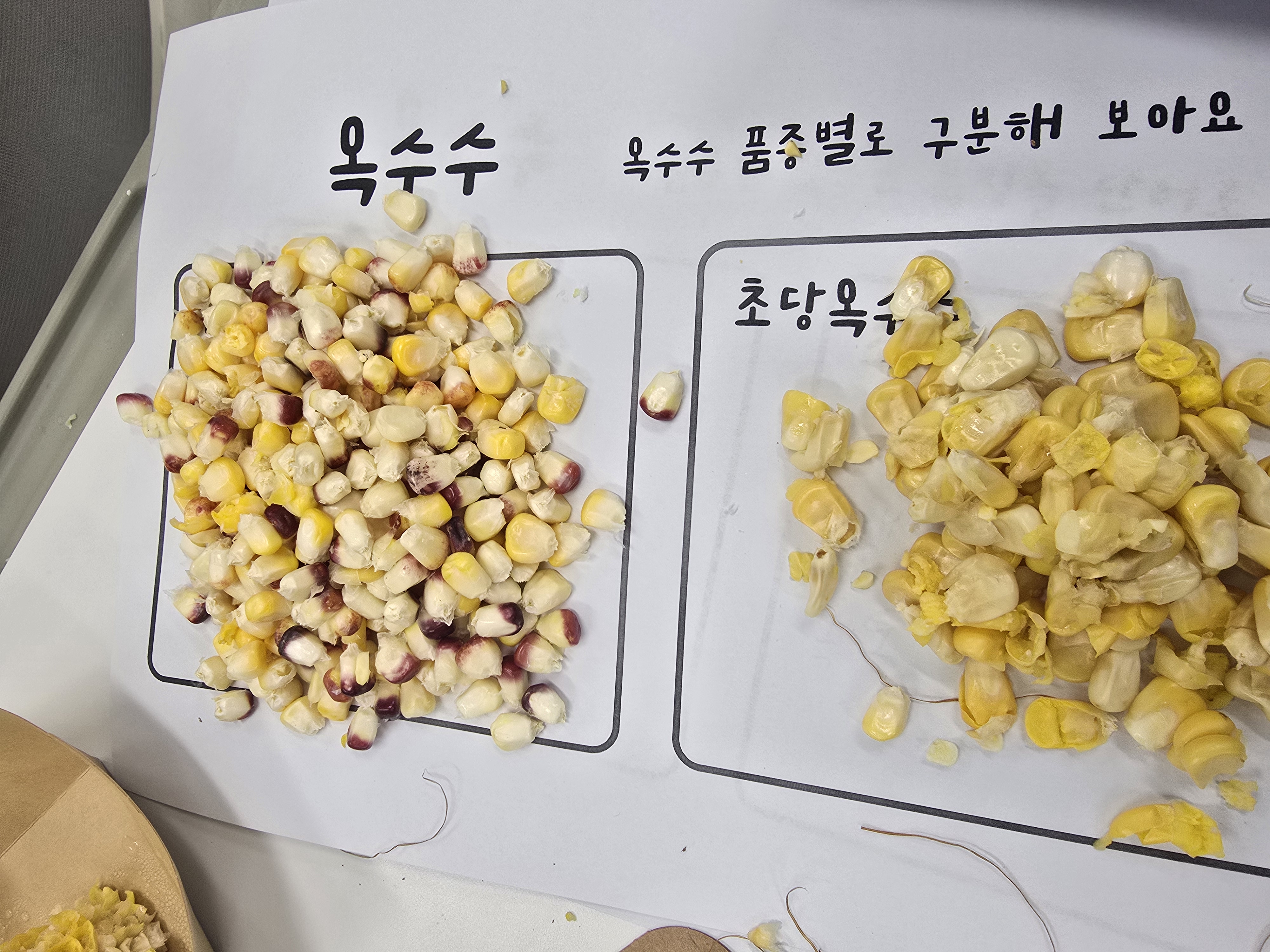 Slide 6번