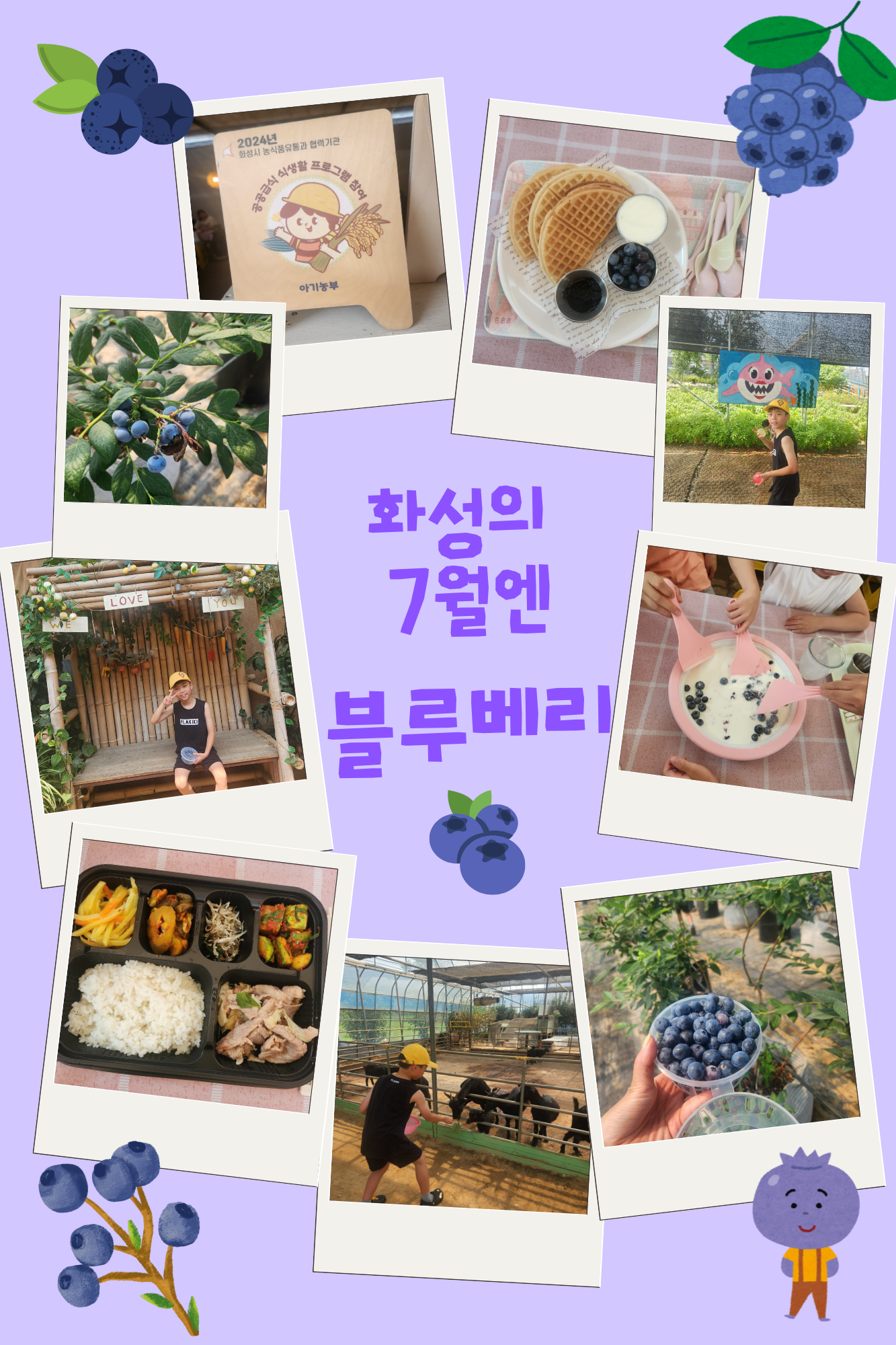 <제철농산물 수확체험 : 블루베리> 참가후기  이미지