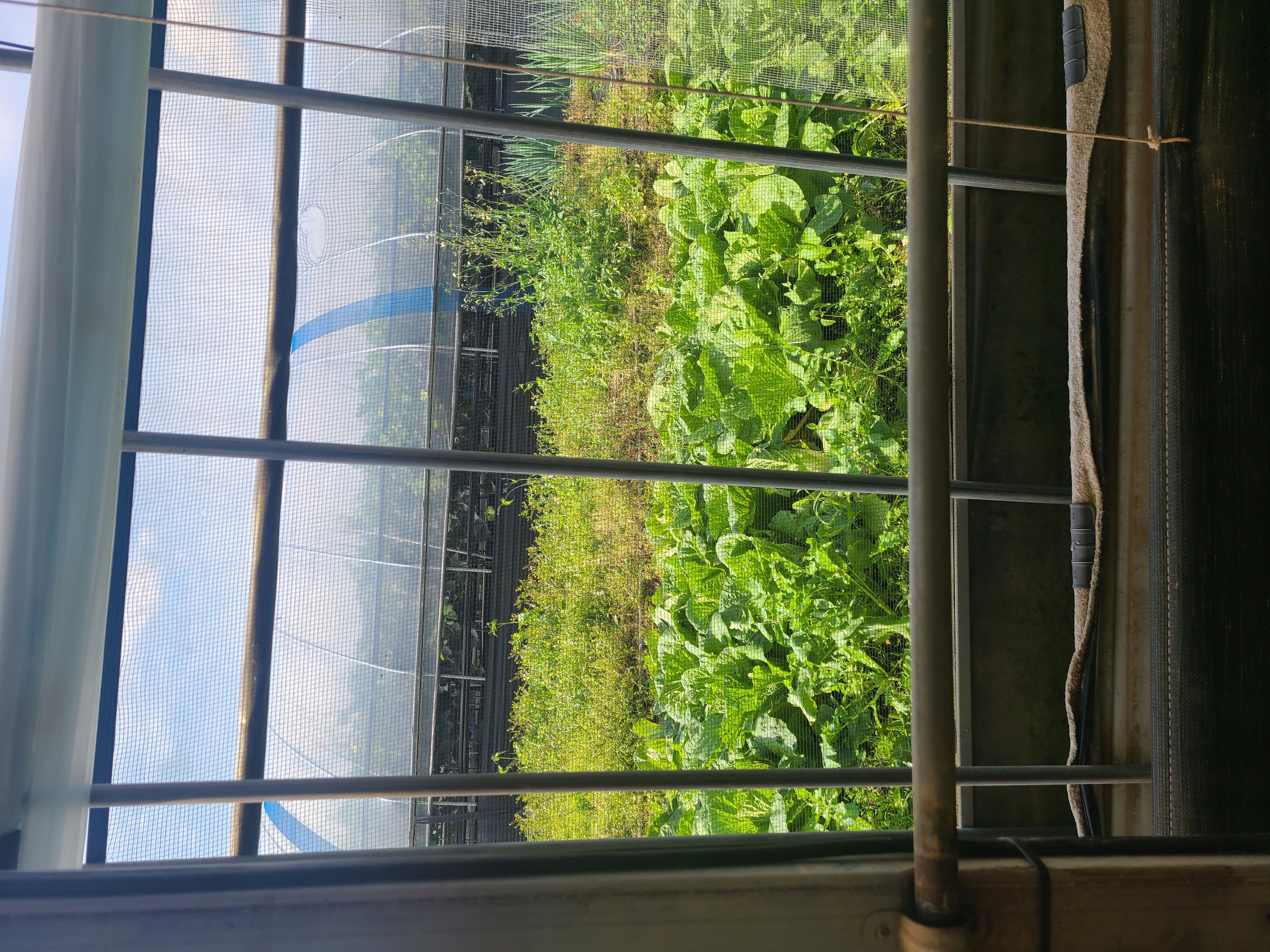 25 도농상생프로젝트  이미지